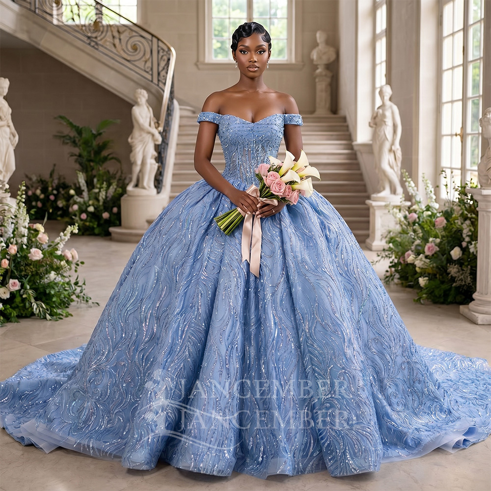 Embroidery Organza - Vestido de Quinceañera Azul Personalizado con