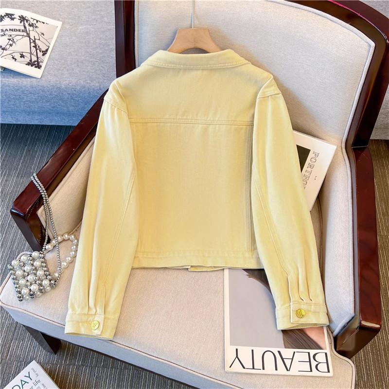 Chaqueta vaquera corta amarill - Embroidery Jeans reseña y precio